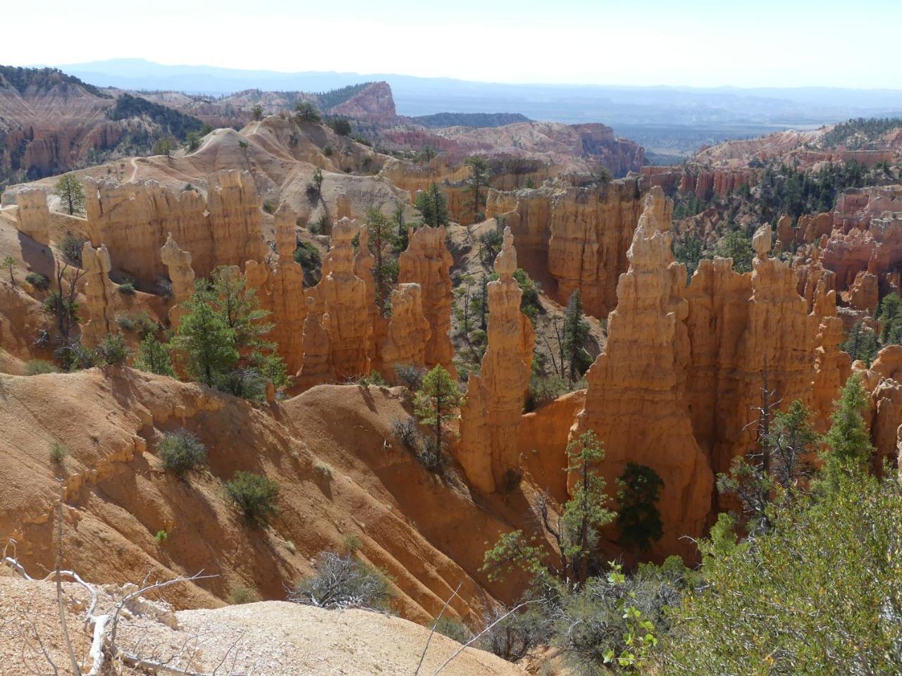 Private, Charming Cabin - Sleeps 5 - The Evergreen - Bryce Canyon National Park Cannonville Eksteriør billede